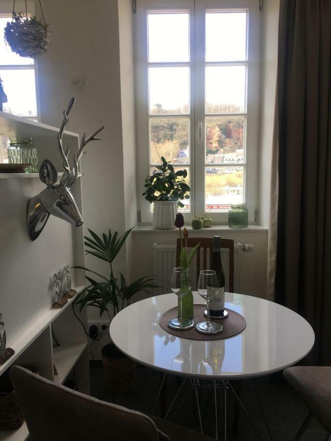 Apartment Am Zurlaubener Ufer Trier Eksteriør bilde